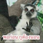 Songapsorn_