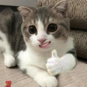 phawatsuksorn