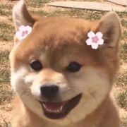 itthichai