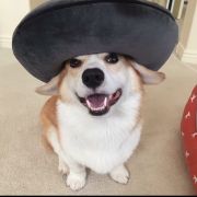 Pronjarad