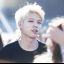 Y.elly