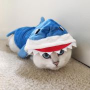 Surakiti