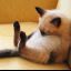 kittipat.s
