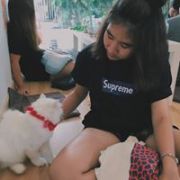 chanjoy