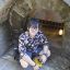 kengono_pk@hotmail.com