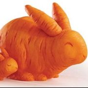 Carrot