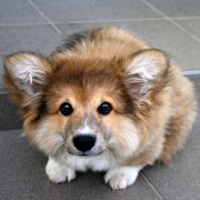 Suthi.k